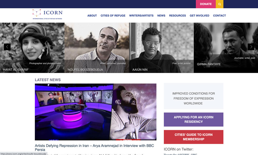 A screenshot of the ICORN webpage.