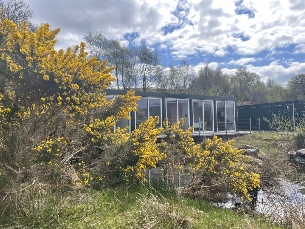 A dark green cabin situated by a river, partially covered by a gorse bush.